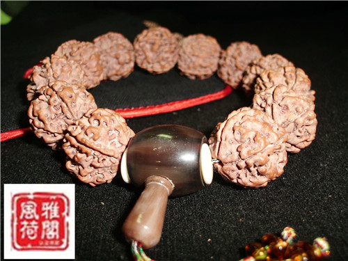 CIMG2930_副本.jpg