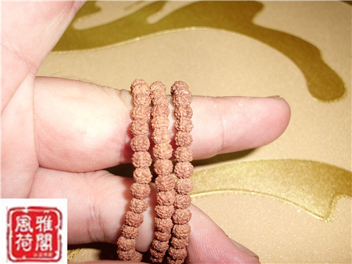 CIMG1140_副本.jpg