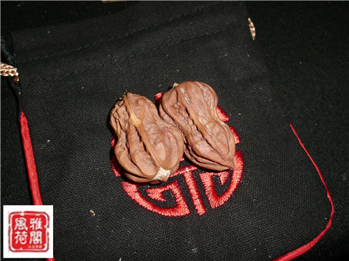 CIMG5395.JPG