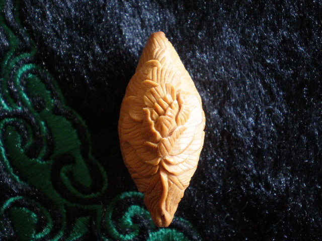 PB250177.JPG