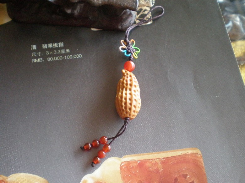 PB110211_conew1.jpg