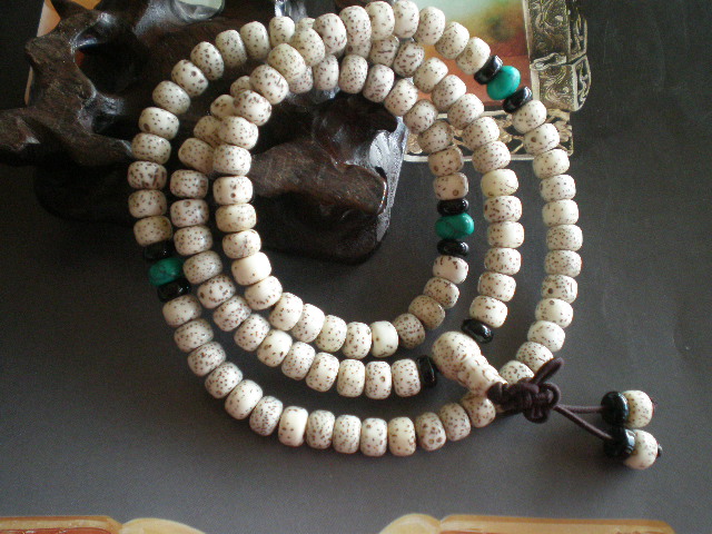 PB110199.JPG