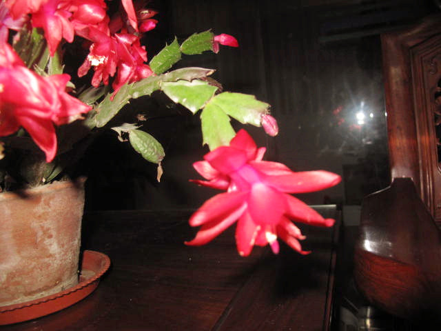 IMG_4206.JPG