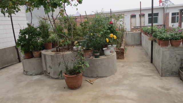 IMG_0902.JPG