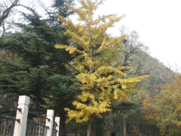DSCF8135_调整大小.JPG