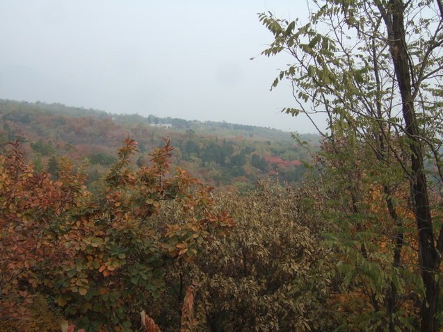 DSCF8127_调整大小.JPG
