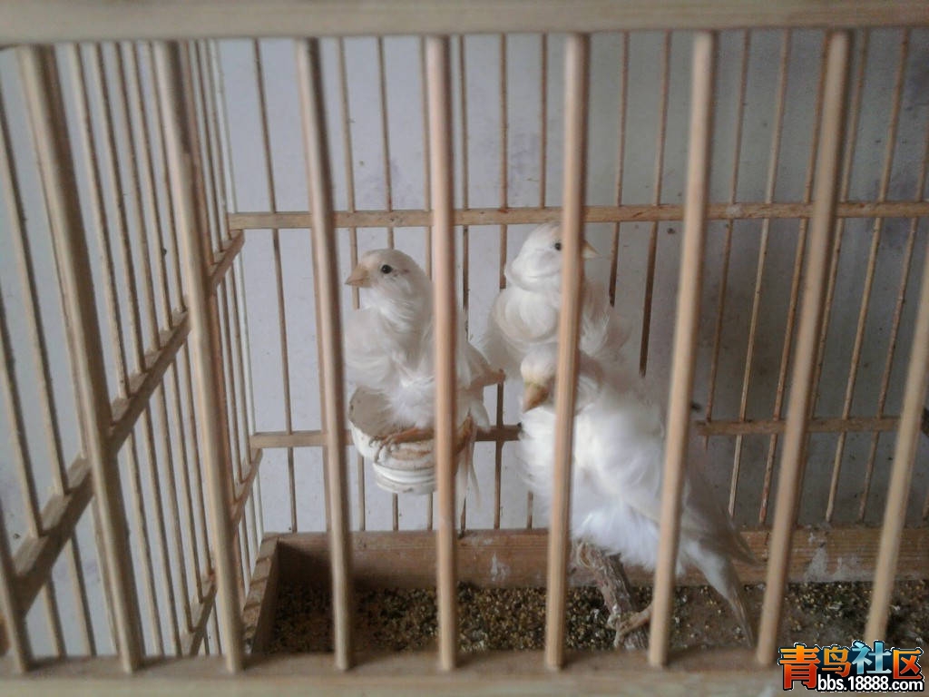 照片08_副本2.jpg