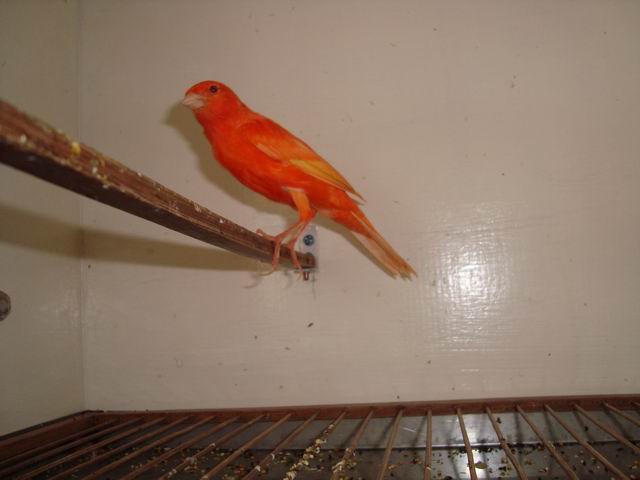 调整大小 DSC03538.JPG