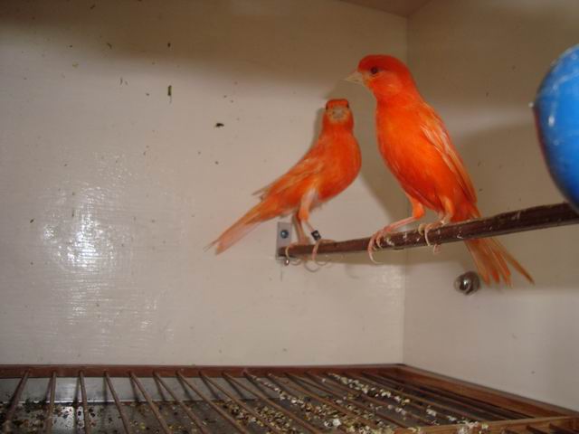 调整大小 DSC03498.JPG