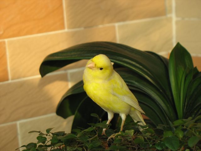 IMG_0772芙3.jpg