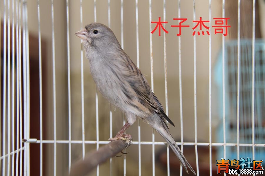 IMG_1950副本.JPG