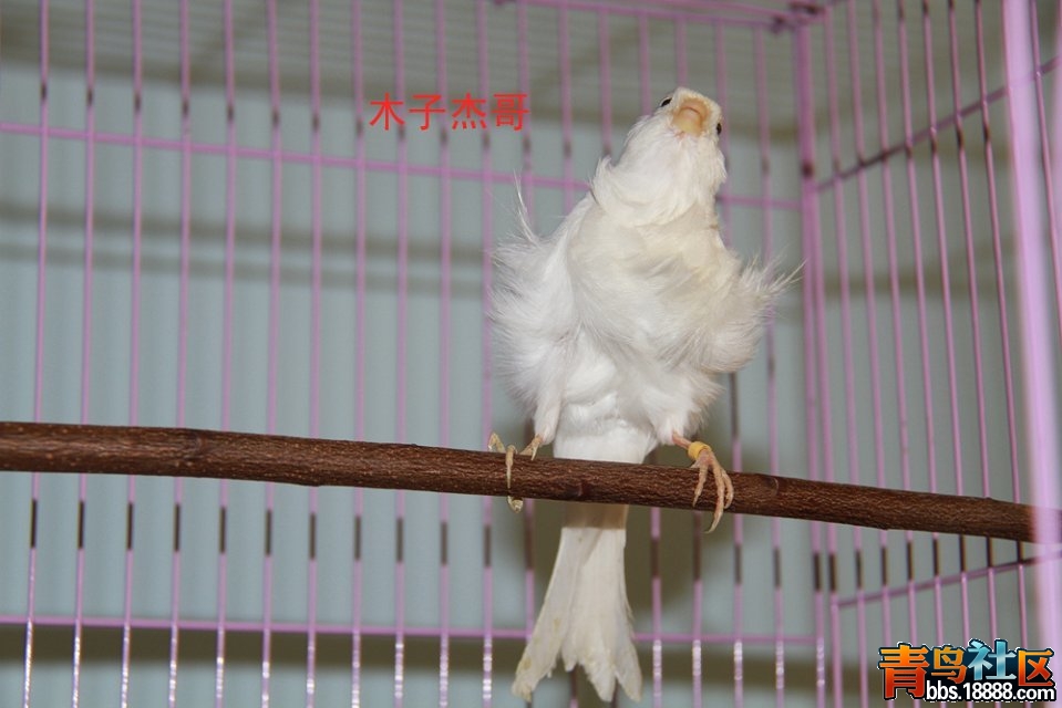 psbCA5CDXK8.jpg