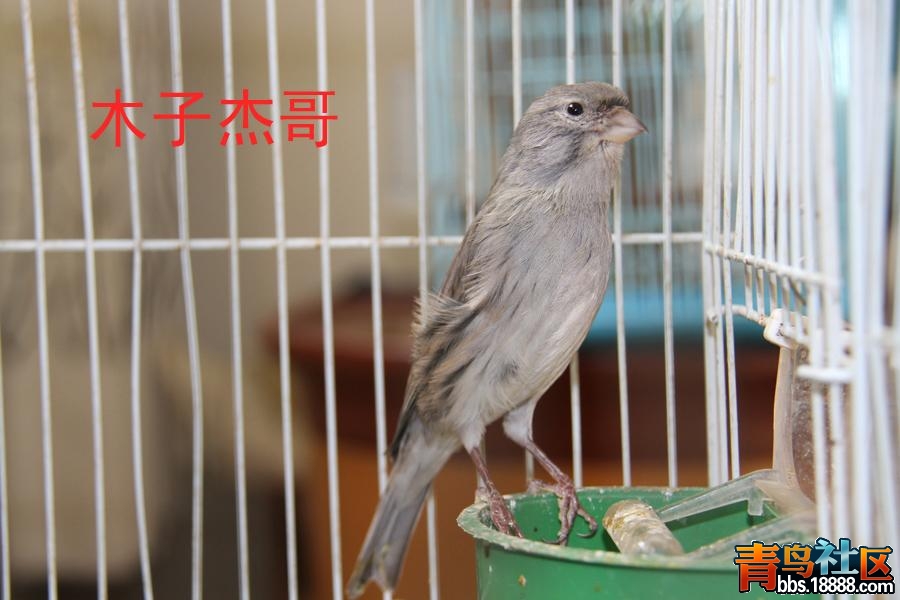 IMG_1936副本.JPG