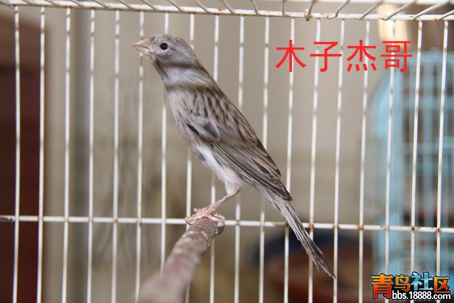 IMG_1926副本.JPG