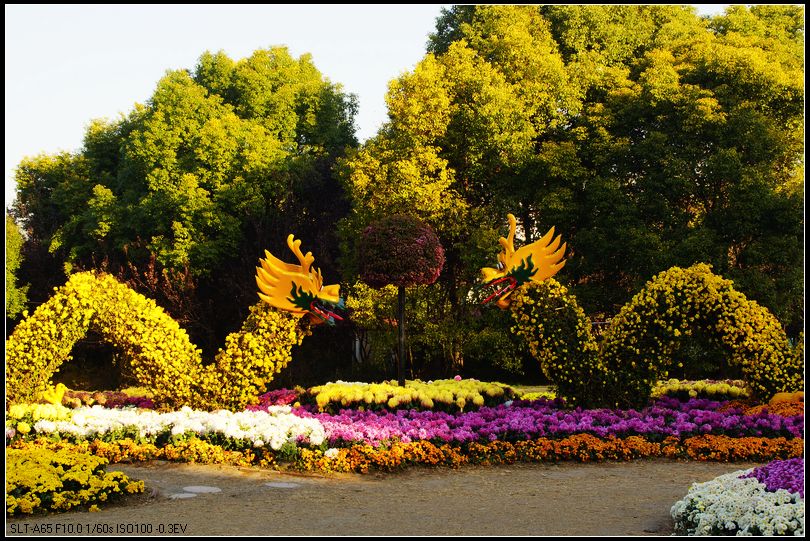 DSC09990.JPG