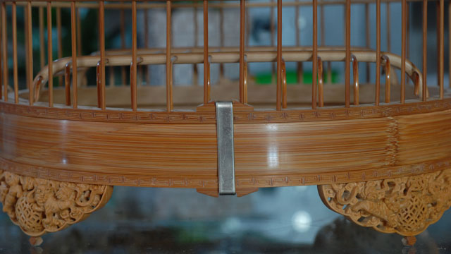 DSC_0049.JPG