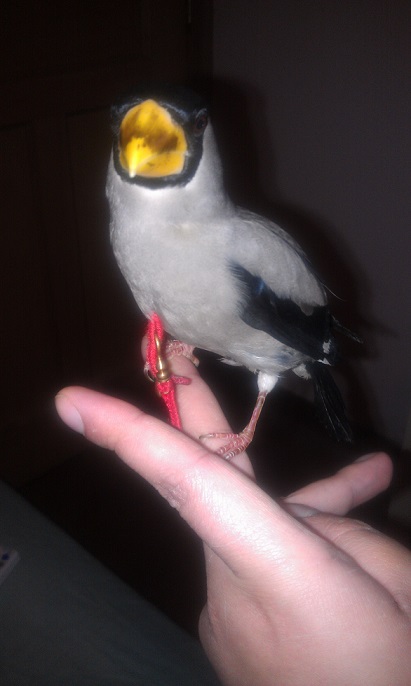 IMAG0283.jpg