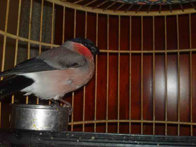 20130924536.JPG