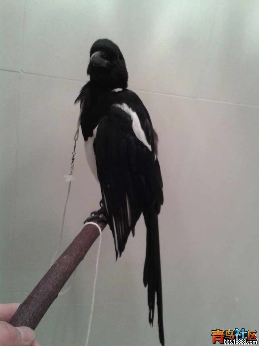 20131228_220620.jpg