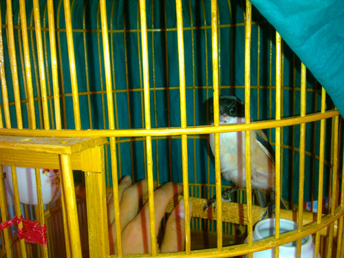 20131209109.jpg