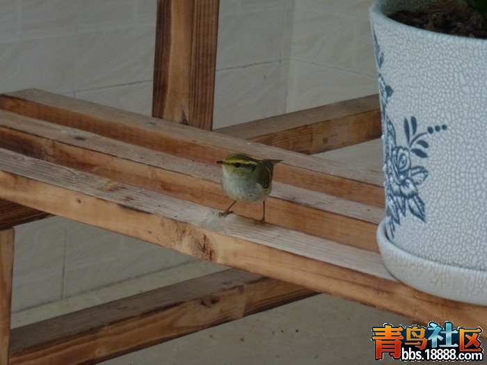 P1040069_调整大小.jpg