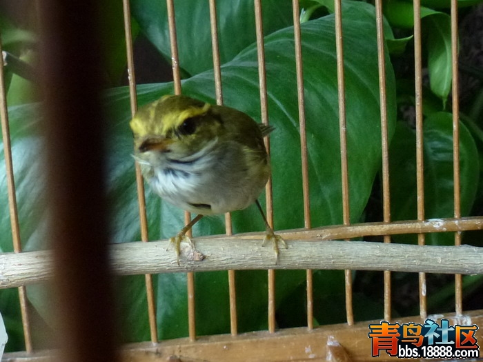 P1040226_调整大小.jpg