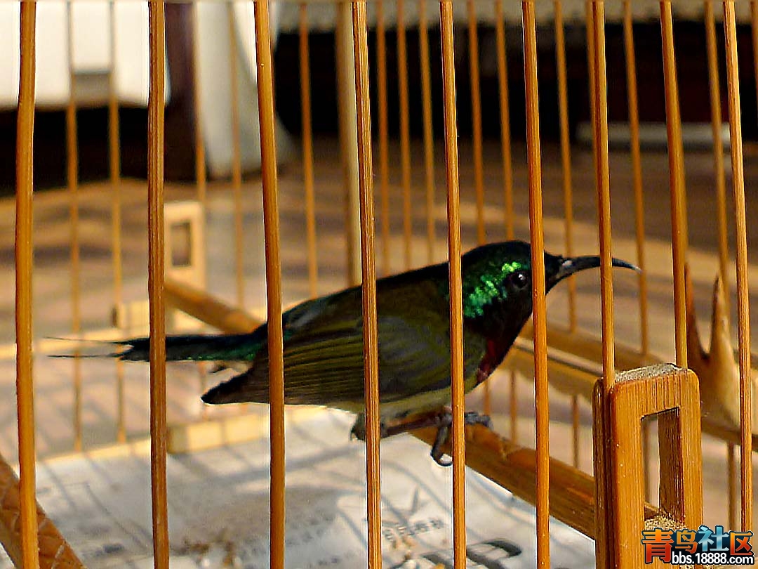 P1130573.JPG