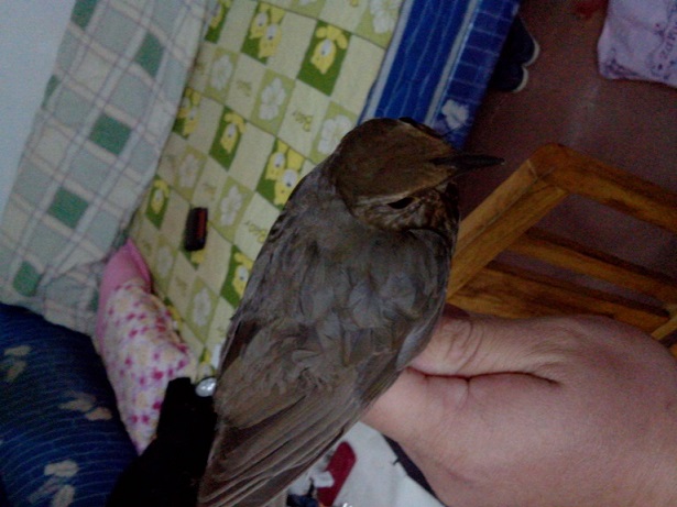IMG20131212004.jpg