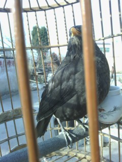 IMG_20131210_092758.jpg