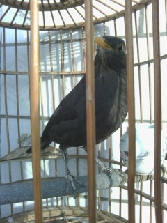 IMG_20131210_092837.jpg