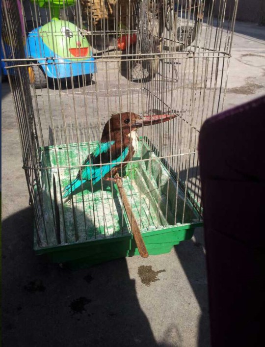 QQ图片20131231154313.jpg