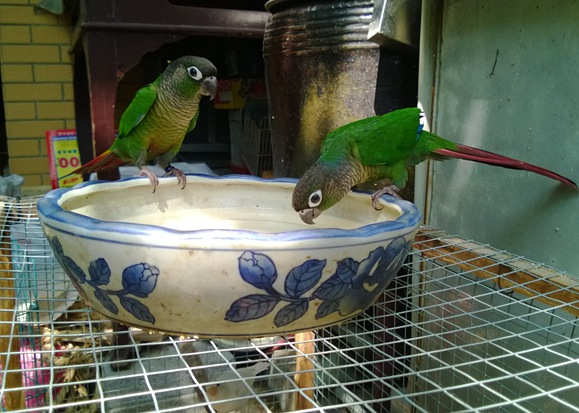 WP_20130911_020.jpg