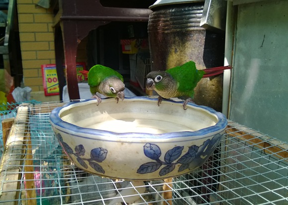 WP_20130911_023.jpg