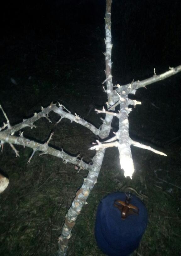 20131128_185151-1.jpg