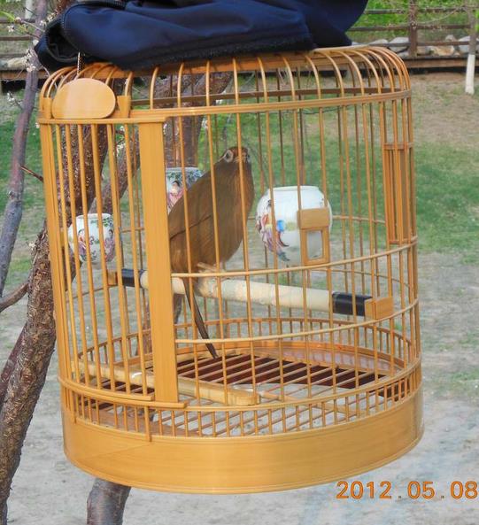 360截图-40053953.jpg