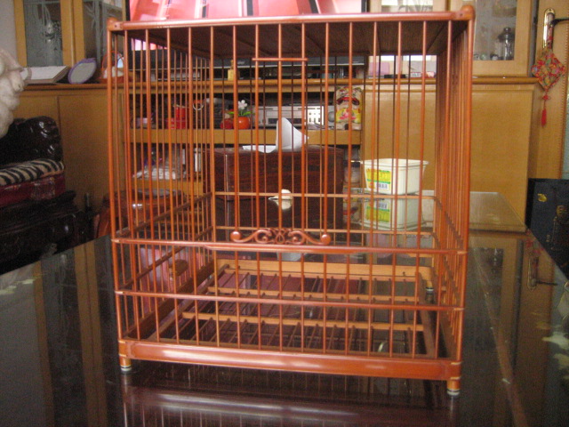 照片 157.jpg
