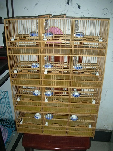 DSCN4090.JPG
