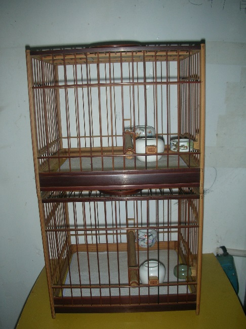 DSCN4059.JPG