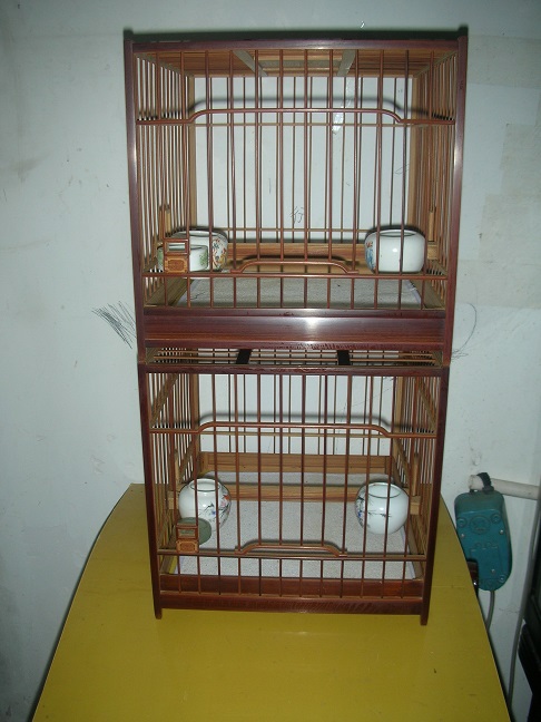DSCN4058.JPG
