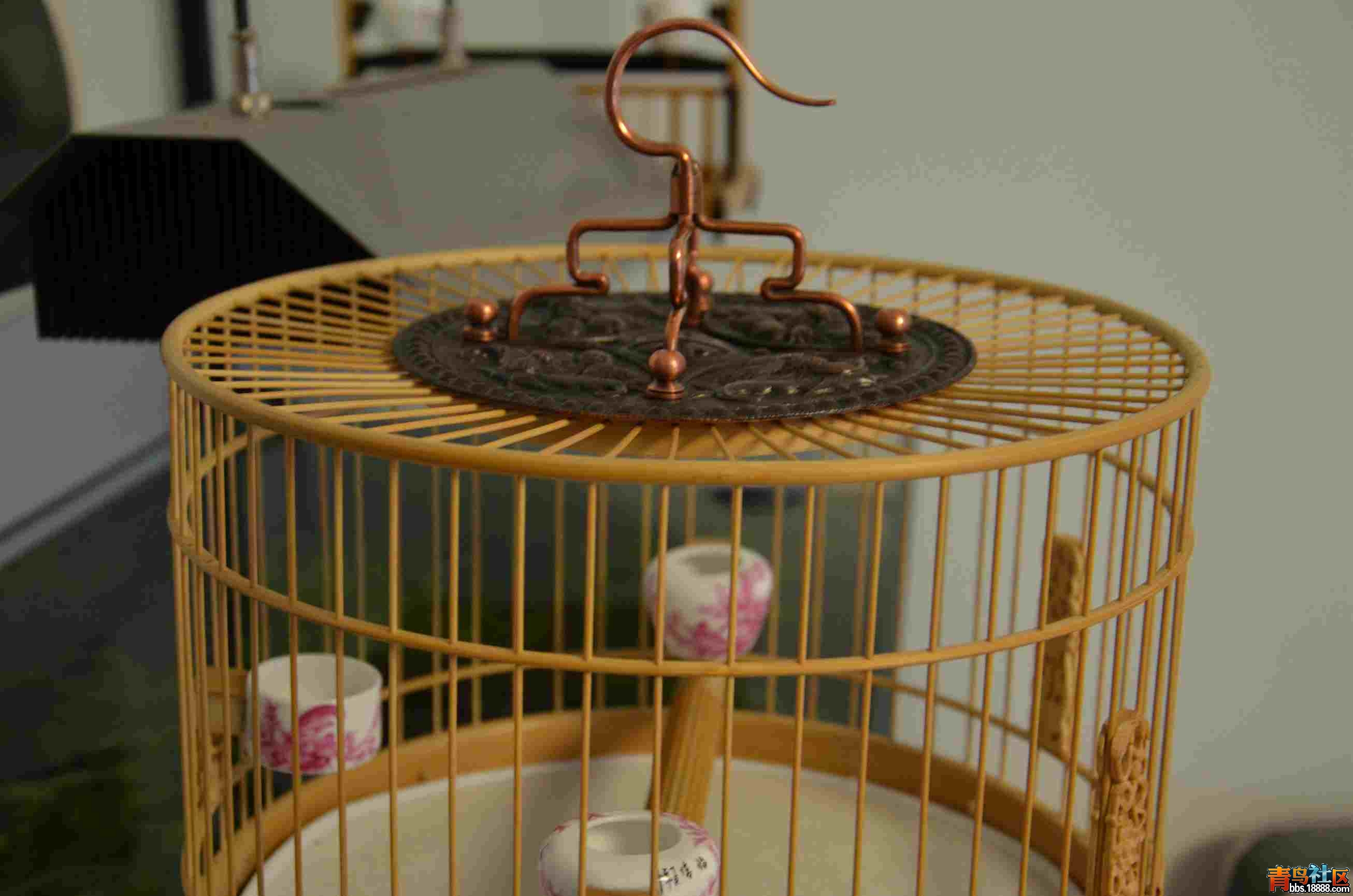 照片 011.jpg