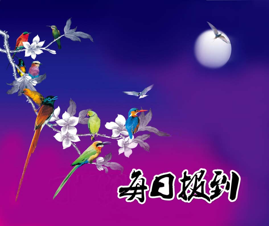 1111111 拷贝.jpg