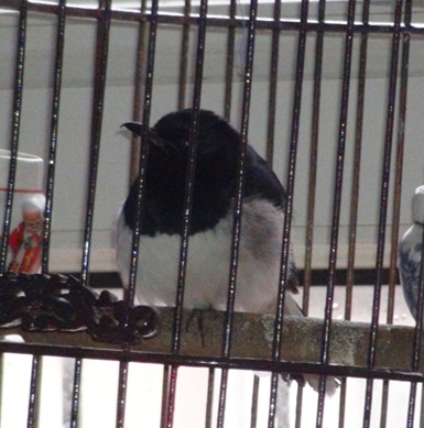 DSC00537_副本.jpg