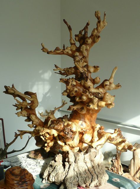 P1110029.JPG