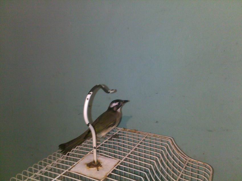 20131209223.jpg