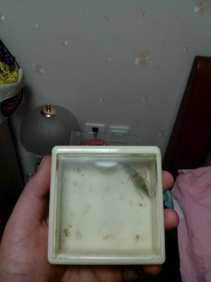 QQ图片20131218173901.jpg