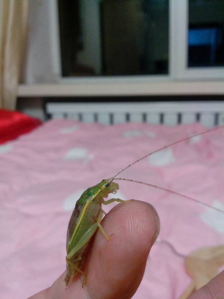 QQ图片20131218173846.jpg