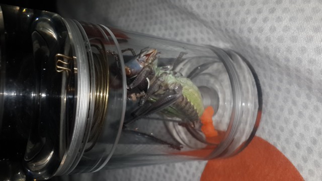 20131229_211240~1.jpg