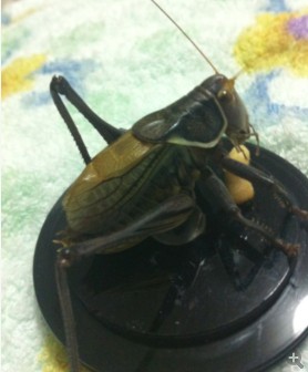 QQ图片20131218185129.jpg
