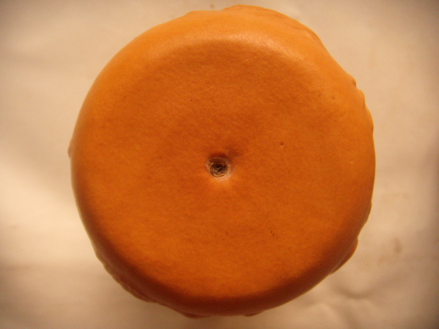 DSCN9151.JPG