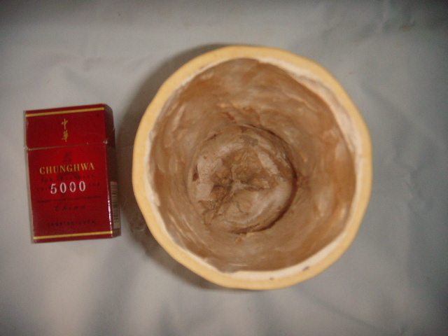 DSCN8433.JPG